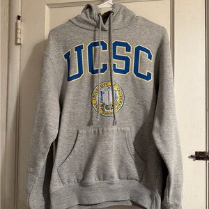 Gray UCSC Hoodie